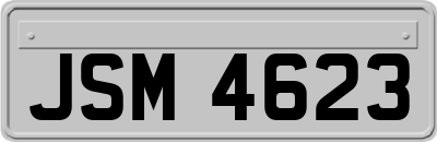 JSM4623