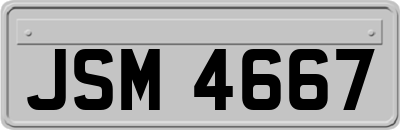 JSM4667