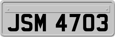JSM4703