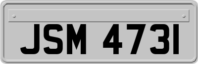 JSM4731