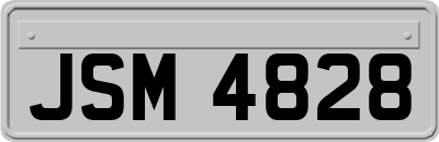 JSM4828