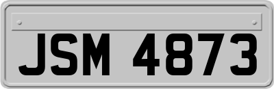 JSM4873