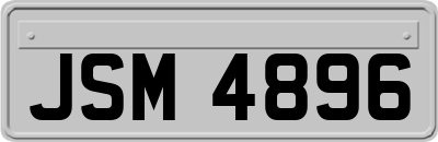 JSM4896