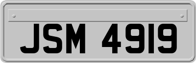JSM4919