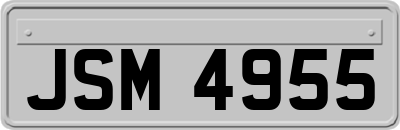 JSM4955