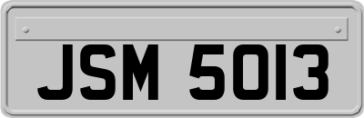 JSM5013