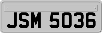 JSM5036