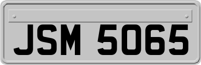 JSM5065
