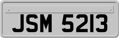JSM5213