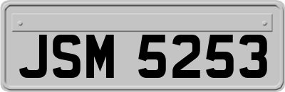 JSM5253