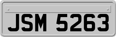 JSM5263