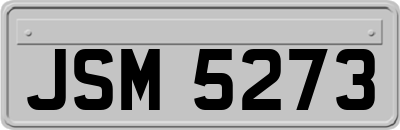 JSM5273
