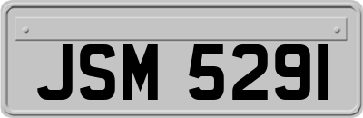 JSM5291