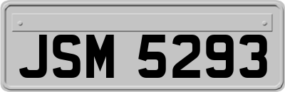 JSM5293
