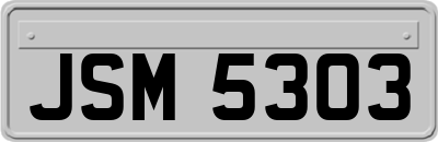JSM5303