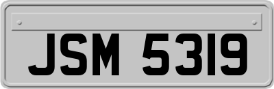 JSM5319
