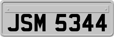 JSM5344