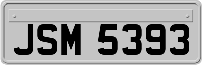 JSM5393