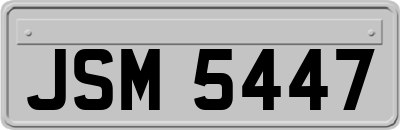 JSM5447