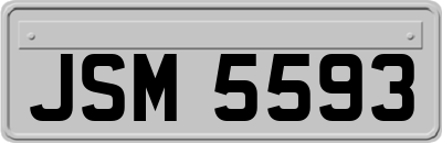 JSM5593