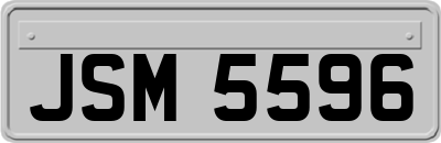 JSM5596