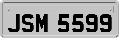 JSM5599
