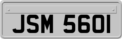 JSM5601