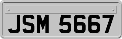 JSM5667