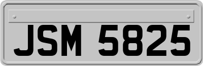 JSM5825