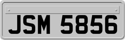 JSM5856