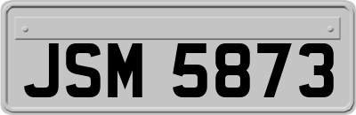 JSM5873