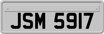 JSM5917