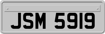 JSM5919