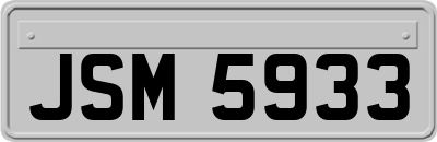JSM5933