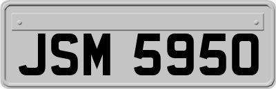 JSM5950