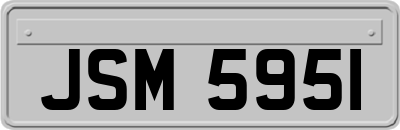 JSM5951