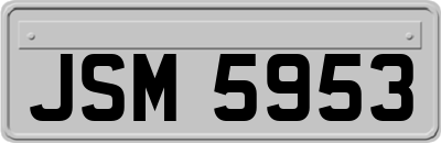 JSM5953