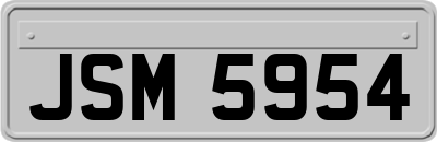 JSM5954