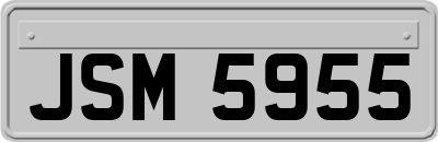 JSM5955