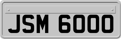 JSM6000