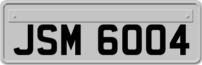 JSM6004