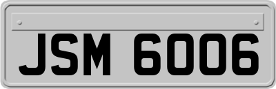 JSM6006