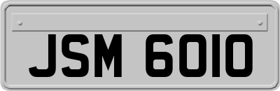JSM6010