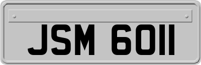 JSM6011