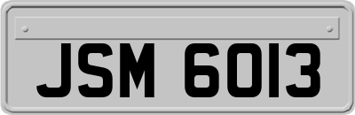 JSM6013