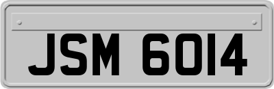 JSM6014