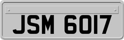 JSM6017