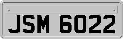 JSM6022