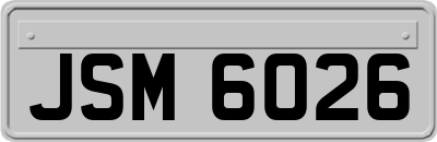 JSM6026