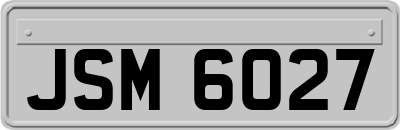 JSM6027